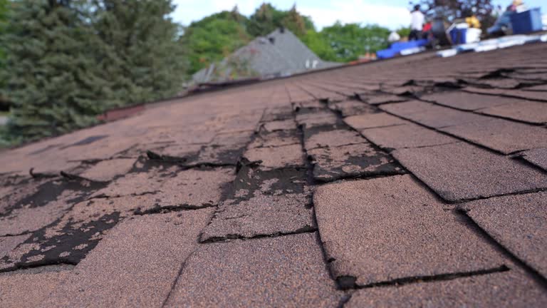 Best Roof Moss and Algae Removal  in Fairfield, IA